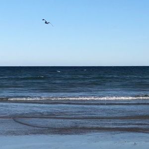 Meet your Posher, Didiana